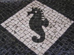 n�o existe legenda para esta imagem