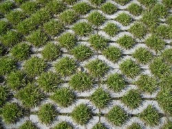 n�o existe legenda para esta imagem