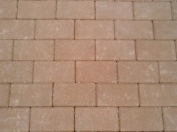 n�o existe legenda para esta imagem